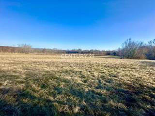 ŽMINJ, DINTORNI, OTTIMO TERRENO EDIFICABILE CON MOLTO POTENZIALE