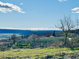 GROŽNJAN, OKOLICA, GRAĐEVINSKO ZEMLJIŠTE S POGLEDOM NA MORE
Translation: GROŽNJAN, SURROUNDINGS, BUILDING LAND WITH SEA VIEW