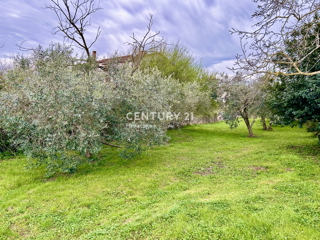 UMAG, TERRENO EDIFICABILE A SOLI 1,5 KM DAL MARE