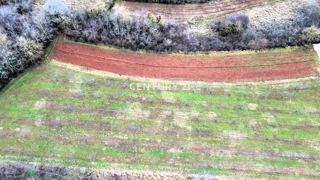 VIŽINADA, VENDITA DI TERRENO EDILIZIO E AGRICOLO