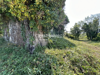 Vendita, Casa, Indipendente, Provincia di Istria, Buje