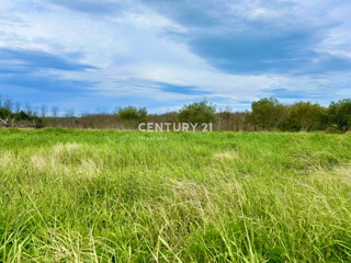 UMAG, TERRENO EDIFICABILE A SOLI 1,5 KM DAL MARE