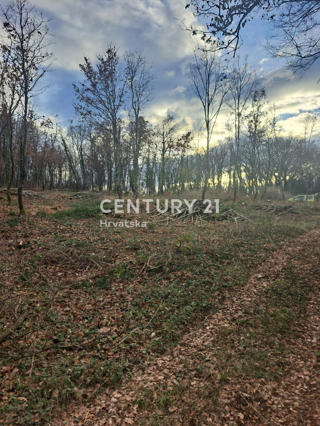 TINJAN, TERRENO EDIFICABILE IN VENDITA AL MARGINE DELL’URBANIZZAZIONE