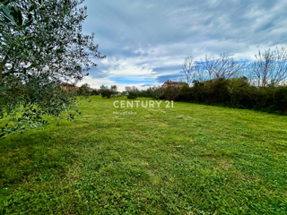 UMAG, TERRENO EDIFICABILE A SOLI 1,5 KM DAL MARE