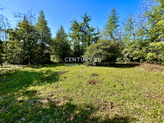 UMAG, TERRENO EDIFICABILE IN UNA DELLE LOCATION PIÙ ATTRATTIVE DELLA COSTA OCCIDENTALE DELL'ISTRIA