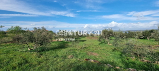 Pašman, Dobropoljana, Terreno Edificabile