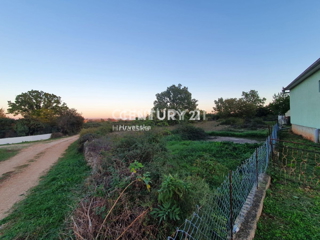 Terreno edificabile - Donje Raštane, Sv. Filip e Jakov - Ambiente di ville con piscina