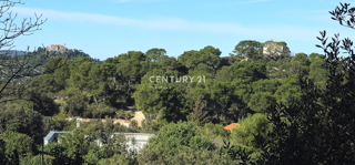 Tkon, isola di Pašman, si vende terreno edificabile di 1250 m2 con i resti di una casa vecchia 250 anni