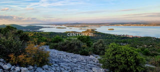 Tkon, Isola di Pašman, in vendita grande uliveto abbandonato