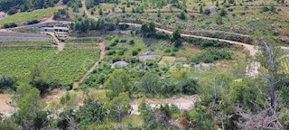 Brac. Nerežišće, terreno agricolo, vendita