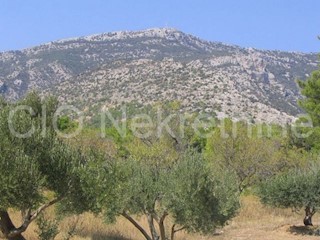 Brac, terreno agricolo in vendita