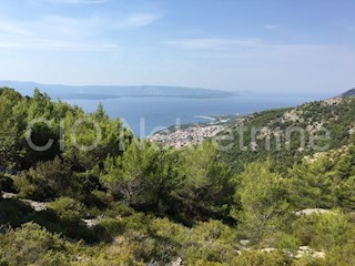 Brac, Bol, grande terreno agricolo, vendita