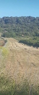 Vis, terreno agricolo 3.000m2, in vendita