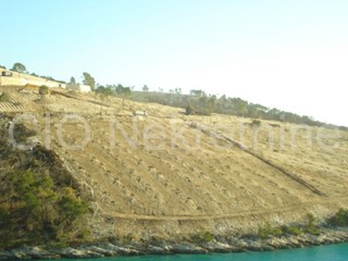 Dalmazia, isola di Brac terreno vendita