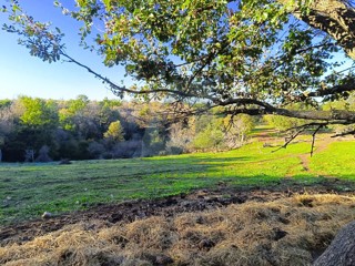 Poreč, dintorni, Terreno edificabile ai margini dell'abitato