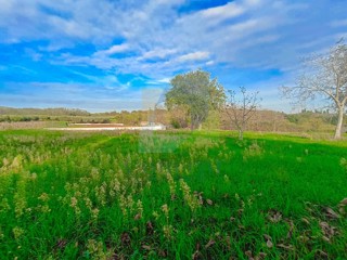 Poreč, dintorni, Terreno edificabile con vista sulla natura