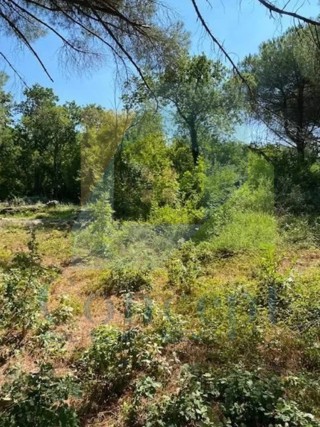 Poreč, Terreno edificabile in posizione attraente a 700 m dal mare