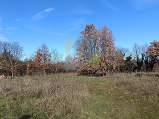 Poreč, dintorni, Terreno edificabile di 543 m2 e terreno agricolo di 1527 m2