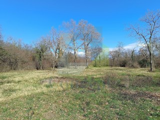 Poreč, Tar - PREZZO RIDOTTO - Terreno edificabile zona T2 a 1,5 km dal mare