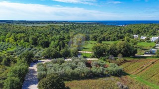 Poreč, dintorni, Terreno edificabile con vista mare, 1 km dal mare