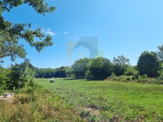 Poreč, Baderna - EKSKLUZIVA AGENZIE - Terreno edificabile con non edificabile, a 20 km dal mare