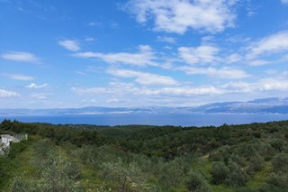 Brač, terreno 35.000 m2 con vista mare