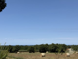 Terreno edificabile vicino a Cittanova