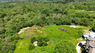 ISTRA, BUJE - Terreno edificabile di 660 m2 non lontano dal centro