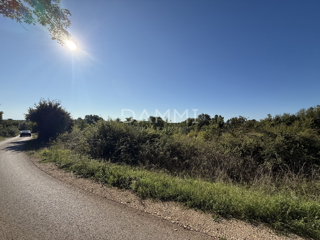 MARČANA, DIVŠIĆI - Terreno edificabile con infrastrutture 620 m2