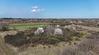 Istra, Marčana - terreno edificabile in zona industriale