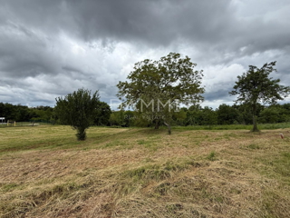ISTRA, VIŽINADA - Terreno edificabile in posizione tranquilla
