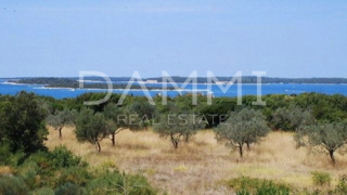 Istra, Štinjan - terreno edificabile attraente, vista mare