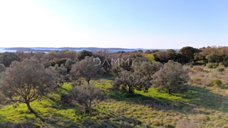 Istra, Štinjan - terreno edificabile attraente, vista mare