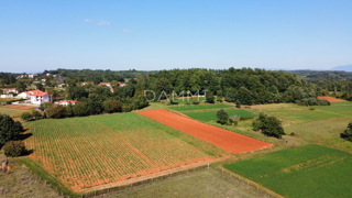 ISTRIA CENTRALE - Complesso unico di terreni agricoli edificabili