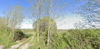 ISTRIA CENTRALE - Ampio terreno agricolo adiacente all'asfalto