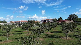 Marčana, dintorni, terreno edificabile