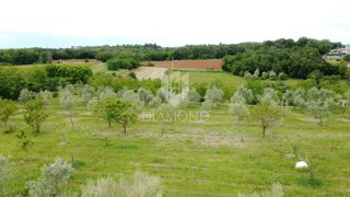 La posizione perfetta per la tua villa vicino a Parenzo
