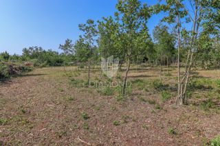 Svetvinčenat, dintorni, terreno ideale per una nuova casa 