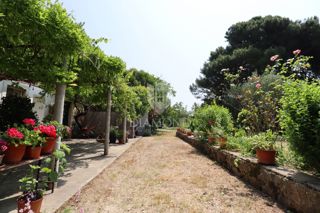 Proprietà nel centro di Rovigno, con grande potenziale!