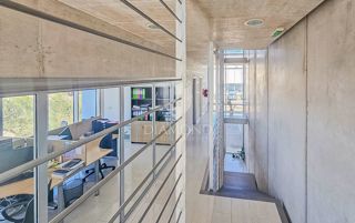 Novigrad, il centro affari dedicato agli investimenti!