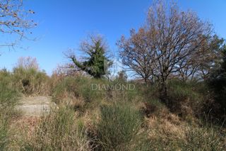 Dignano, ampio terreno edificabile