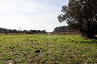 Poreč, dintorni – Terreno edificabile in una zona tranquilla