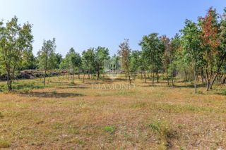 Svetvinčenat, dintorni, terreno in posizione tranquilla