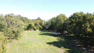 Parenzo, dintorni, ampio terreno appartato nella natura