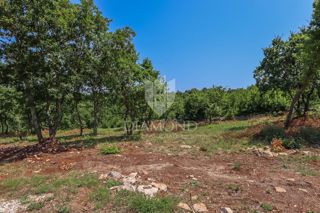Ampio terreno in una posizione tranquilla vicino a Svetvinčent