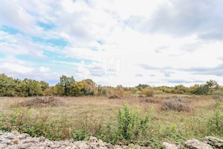 Marčana, dintorni, grande terra per nuovi progetti