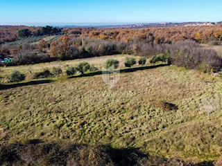 Terreno Poreč, 1.251m2