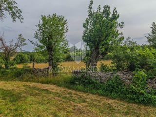 Super terreno vicino a Gimino per la costruzione di una casa