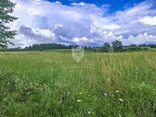 Kaštelir, terreno agricolo pieno di potenziale!