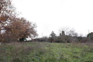 Terreno edificabile vicino a Rovigno, posizione ricercata!